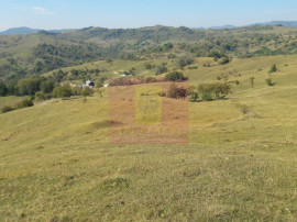 Teren intravilan de vanzare in Breaza (dezvoltare imobili...