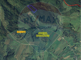 Pădure de vanzare cu zona de cabană Odesti