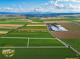 FILM! 30.200 mp teren intravilan,recomandat: investitie expl