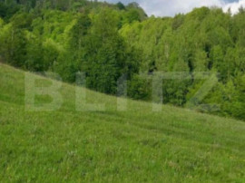 Teren intravilan 4552 mp, Ponorel, comuna Vidra