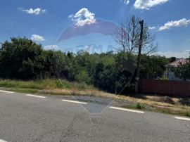 Teren 2,500mp Picaturile / Strada Principala