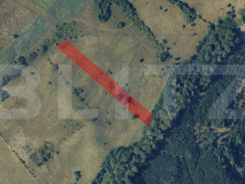 Teren extravilan de vanzare, 56 ari, zona Valea Stanelor