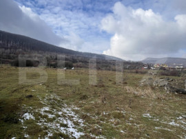 Comision 0 - Teren intravilan 20 arii acces DN15, Viisoara