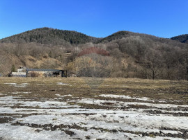 Teren 1,340mp Cuejdiu / Strada Cuejdiului