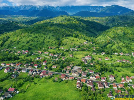 FILM! Constructie rustica tip Casa Verde, cu parau si panora