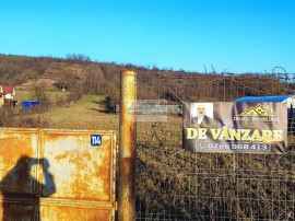 Teren intravilan 3129 mp | Deschidere 28 ml / Lespezi &ndash;...