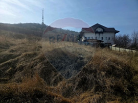 Teren 500mp Zona Fermelor