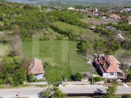 4700 mp teren intravilan - Rascruci - EXCLUSIVITATE