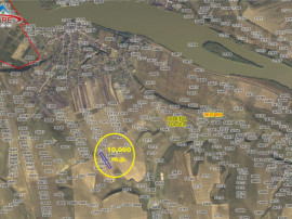 Teren agricol de Nufaru