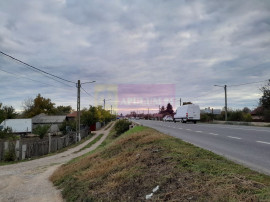 DE VANZARE TEREN 2000 MP - COSERENI( il )