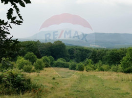 Teren ideal pentru glamping &icirc;n Vlădeni, aproape de Brașov