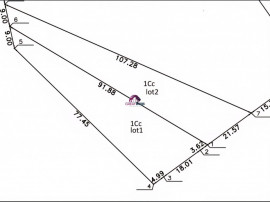 Teren Snagov Lac 1318 mp