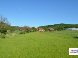Oportunitate - Teren de Zona Livezeni, Ivanesti