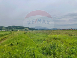 Comision 0% | 4 Parcele 538mp | Harman, Strada MIHAIL SAD...