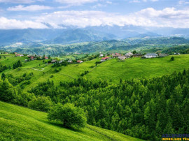 7.000 mp, pozitie spectaculoasa, fara vecini, Fundatica, Bra