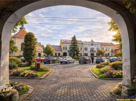 Accesibilitate si farmecul unei case cu garaj, locatie de re