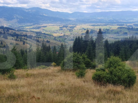 Teren extravilan de vanazre, 42.152 mp, zona Saru Dornei