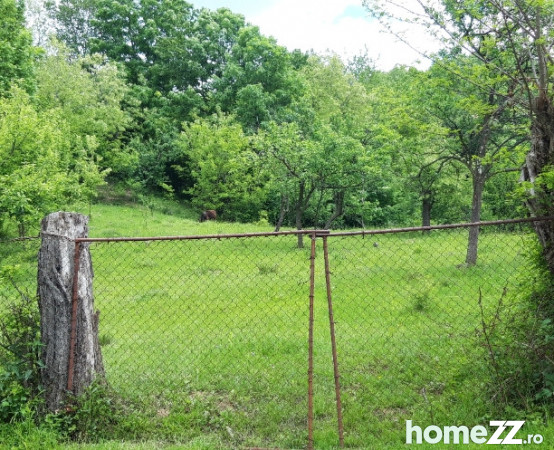 Teren intravilan(2800 mp) Cornu de Jos Prahova 2800mp, 22 eur HomeZZ.ro