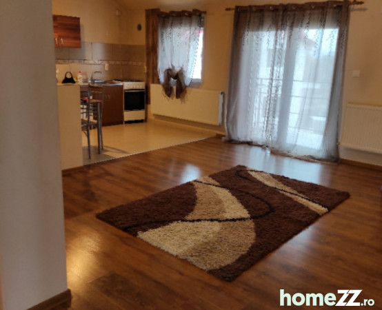 apartamente de vanzare timisoara