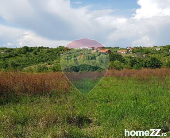 Teren De Vanzare Oradea Strada Livezilor 140 000 Eur Homezz Ro