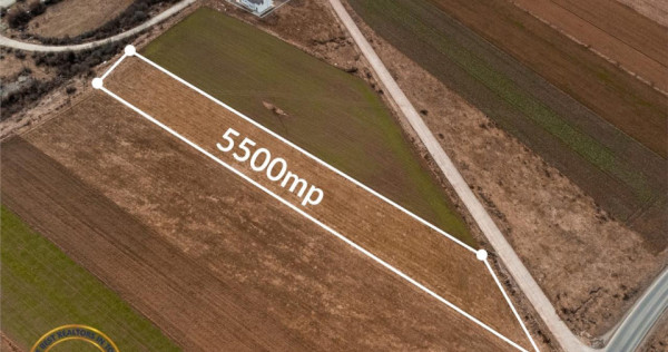 Film Prezentare! 5.500 mp, intravilan, ideal constructii cas