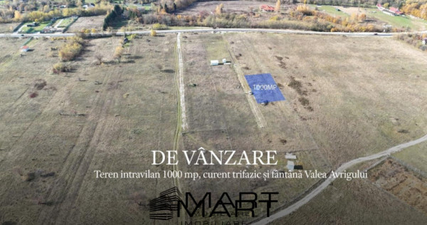 Teren 1000 mp, curent trifazic si fantana Valea Avrigului