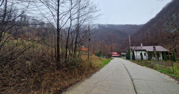 Teren in Com. Pestisani, sat Gureni - zona de munte
