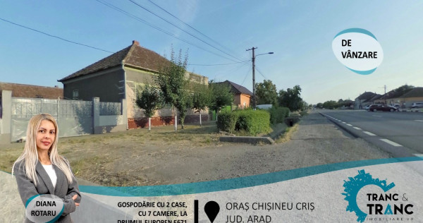 Gospodărie cu 2 case, la E671, în Chișineu Criș (ID: 26659)