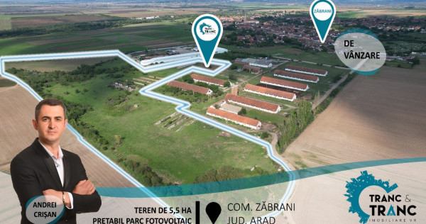 Teren intravilan de 5,5 ha, în Zăbrani(ID: 26650)