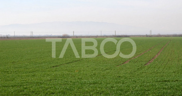 Teren extravilan agricol 12000 mp utilitati in zona Pianu de