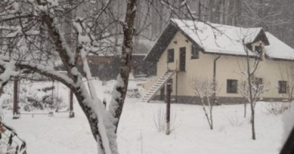 Cabana 4 camere zona Valea Avrigului