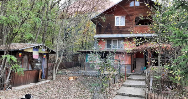 Vanzare casa Provita de Jos Prahova