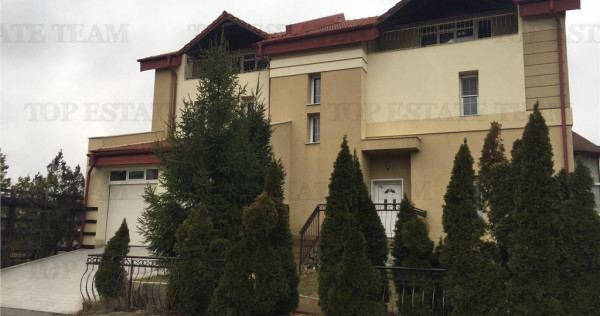 Vila de in Iancu Nicolae