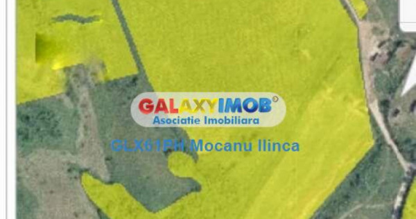 Teren 60000 mp, in Plopu, la 10 km de Ploiesti