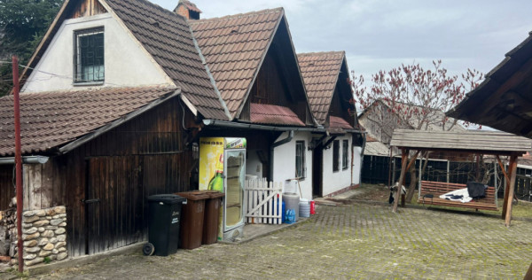 Doua case de vanzare in Fantanele Sibiu cu teren de 1046mp