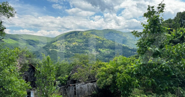 Casă la munte cu teren generos de 9340mp &icirc;n zona Căp&acirc;lna