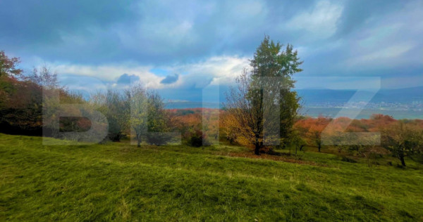 Teren de v&acirc;nzare &ndash; Subcetate, zona Livadă