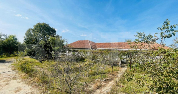 Casa+ teren cu vad, 1580 mp, Calea Severinului