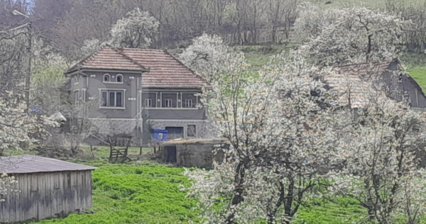 Casa individuala, 3500 mp teren, zona Vintu de Jos, Inuri