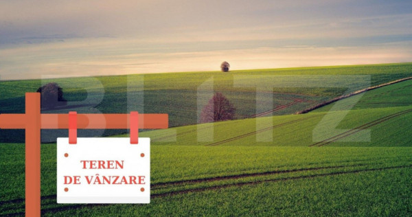 Teren extravilan, 125000 mp, Timis!