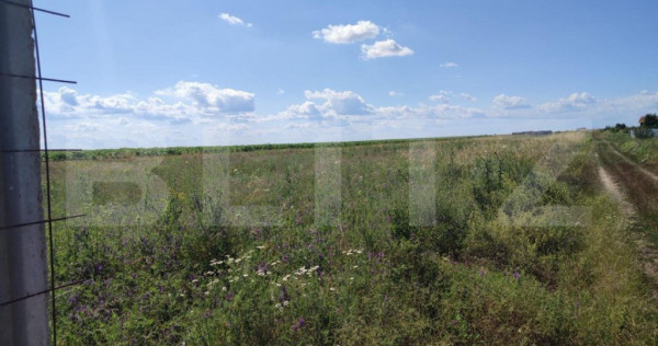 Teren intravilan 3600 mp, parcelabil, zona mixta E 70