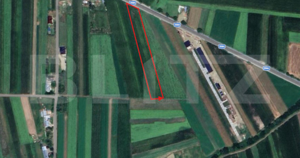 Teren, 4902 mp, Udesti