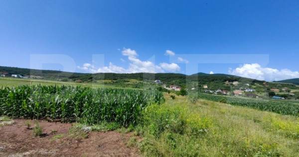 Teren intravilan, 4670 mp, zona Micești partea stanga