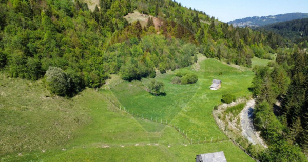 Teren 12,127mp Frasin / Drumul Forestier Valea Seacă
