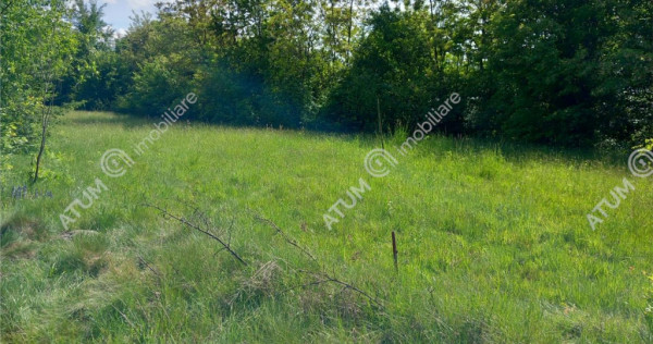 Teren intravilan 2100 mp de pe Valea Avrigului in Sibiu