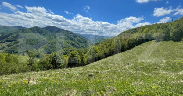 Intravilan de v&acirc;nzare &icirc;n Satul Plopi, se poate parcela Com