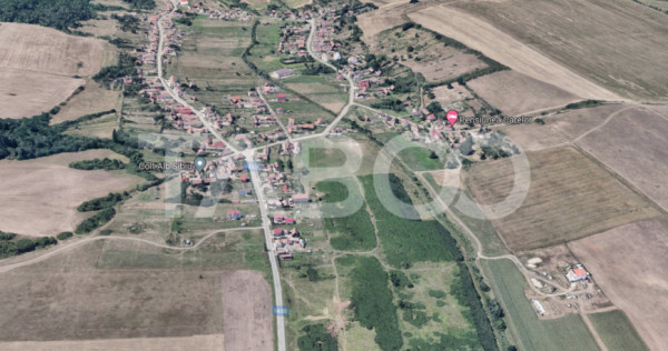 Teren extravilan 2216 mp cu front 12 m acces auto Rusciori S