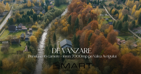 Pensiune 16 camere, teren 7000mp, Valea Avrigului
