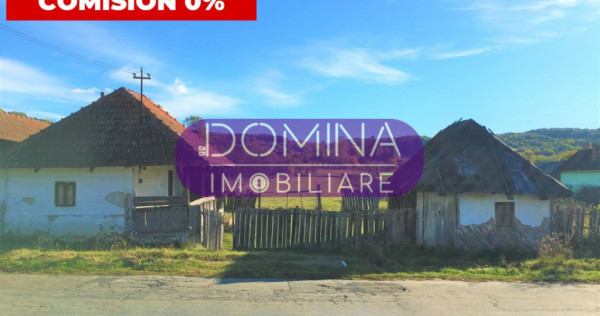 Terenuri intravilane în Comuna Alimpești