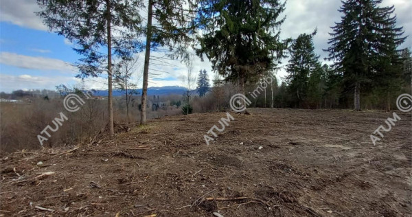 Teren intravilan 1000 mp in Avrig zona Valea Avrigului